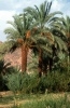 id-30-pic2.jpg